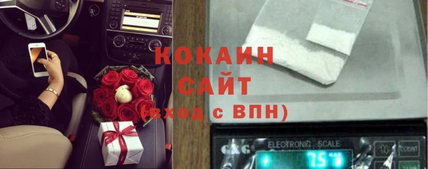 эйфоретик Новодвинск