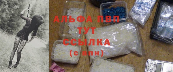 эйфоретик Новодвинск