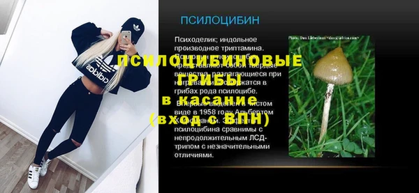 эйфоретик Новодвинск