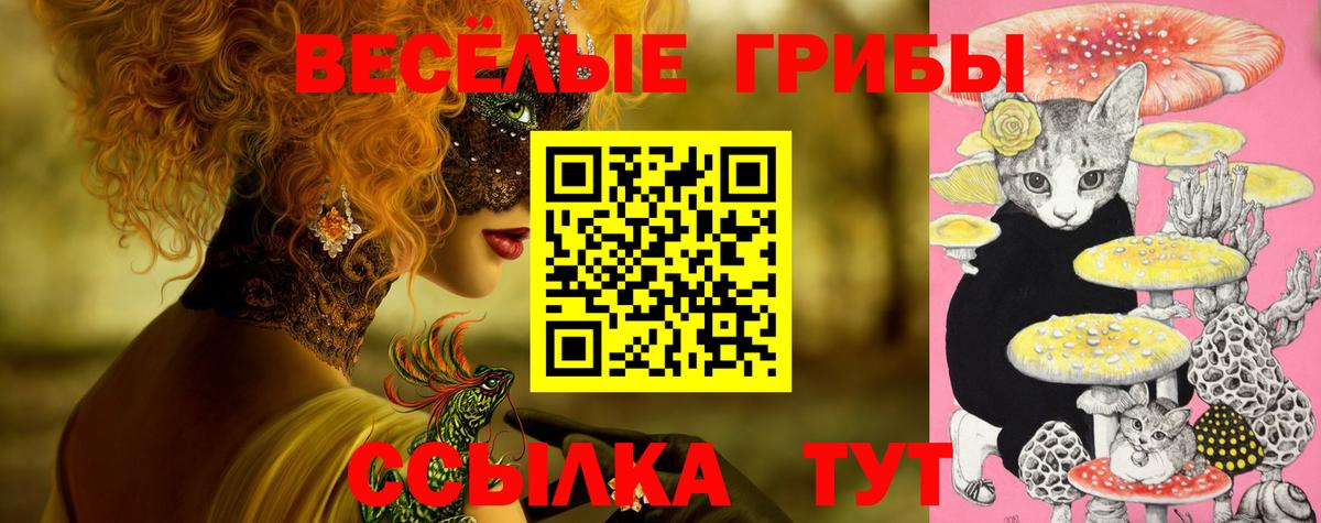 Псилоцибиновые грибы Psilocybine cubensis  Казань 