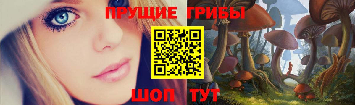 купить наркотики сайты  Вход с VPN  Казань  Галлюциногенные грибы мицелий  Псилоцибиновые грибы мухоморы 