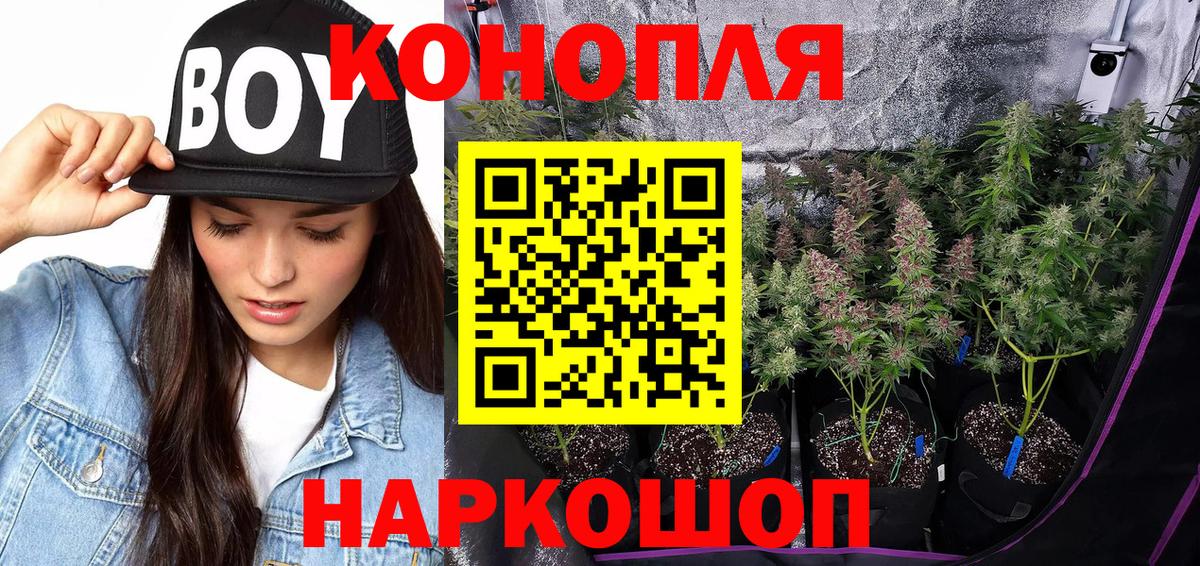 Шишки марихуана Bruce Banner  Канабис тримм  Бошки Шишки план  Казань  Вход с VPN 